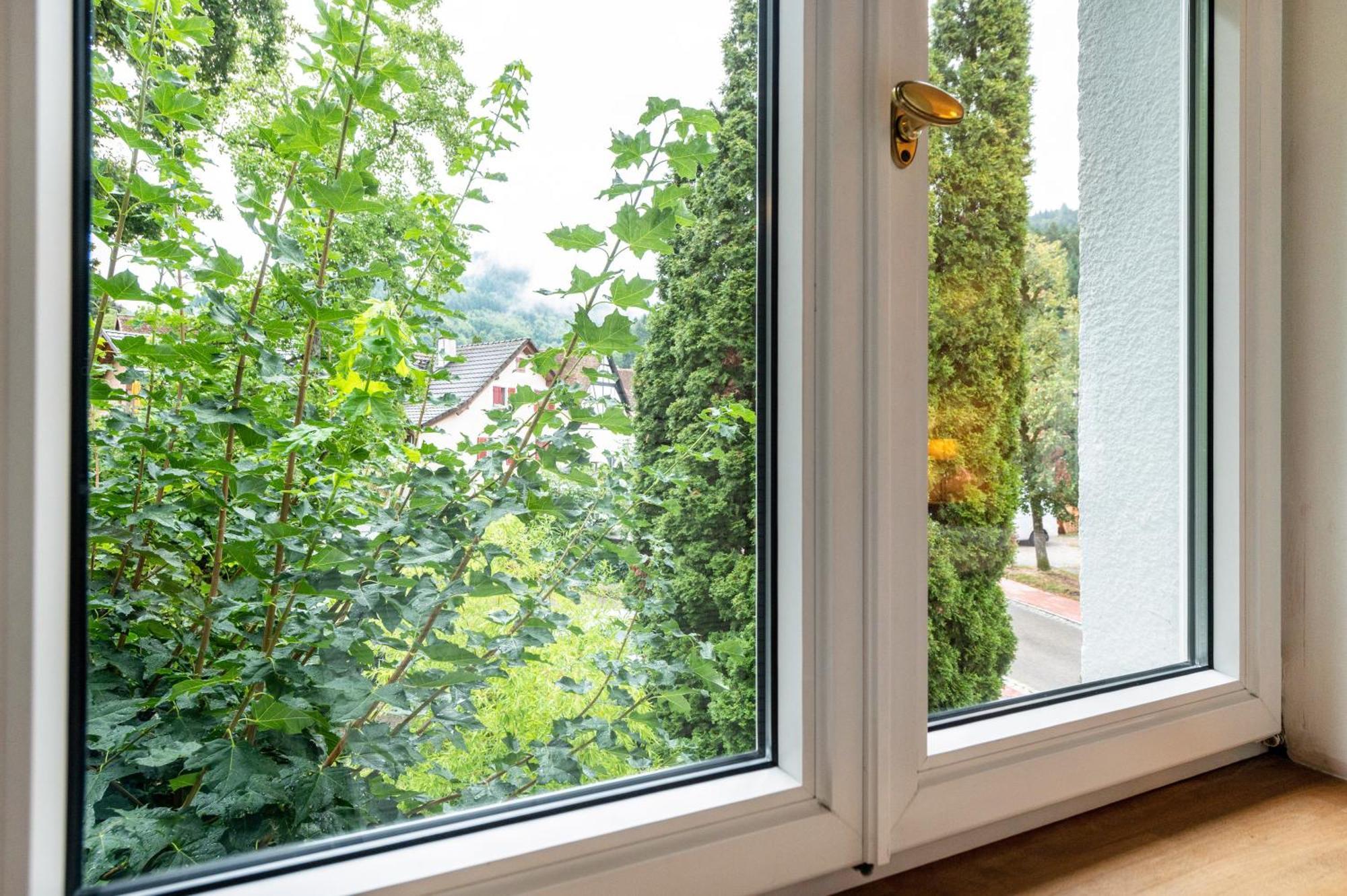Appartement Waldhorn 바덴바일러 외부 사진